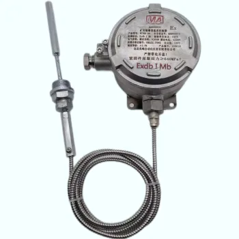 OEM/ODM Explosion Proof Temperature Controller for Mining