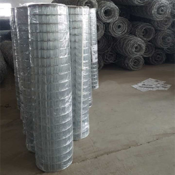 Galvanized Welded Wire Mesh