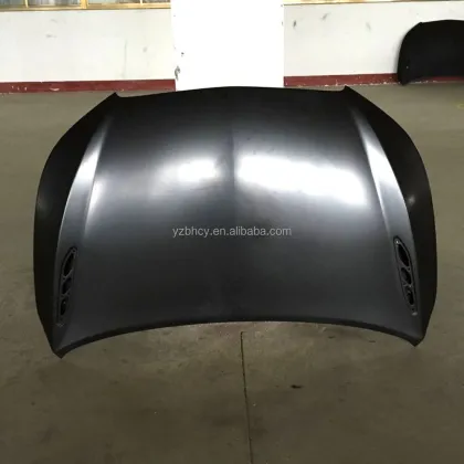 Factory Direct Sale: Affordable Auto Body Parts & Accessories for BU ICK La Crosse 2009-2012 - Engine Hood 20794199