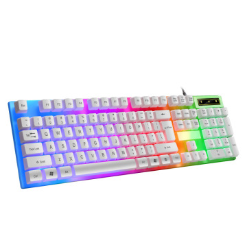 Luminous Gamer LED Light Keyboard and Mouse Combo for PC