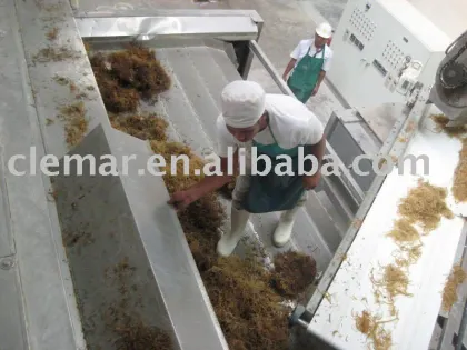 seaweeds dryer