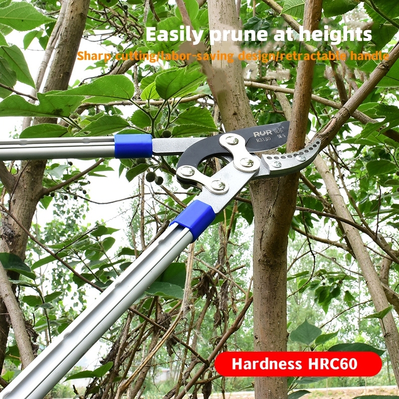 Powerful Telescopic Horticultural Scissors Flower Bicorp Shears Upgrade High Telescopic Handle Bare Shears