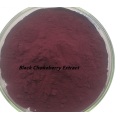 Factory price Black Chokeberry Extract powder for sale