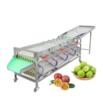 Used Automatic Fruit and Vegetable Sorter & Grader Machine Components