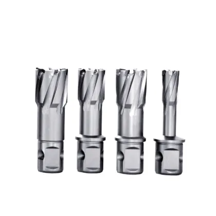 Wholesale Price TCT Metal Annular Broach Cutter Core Drill Bit Slugger Bit for Accurate Cutting