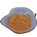 Hot Sale Psyllium Seed Powder/Sêmen Plantaginis Extract