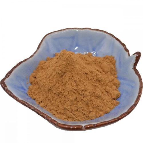 Hot Sale Psyllium Seed Powder/Semen Plantaginis Extract