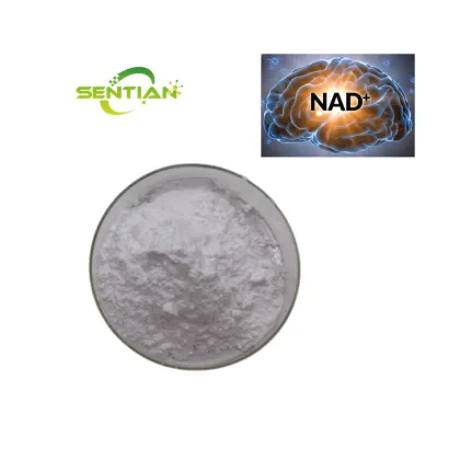 nad+ supplement nicotinamide adenine dinucleotide nad