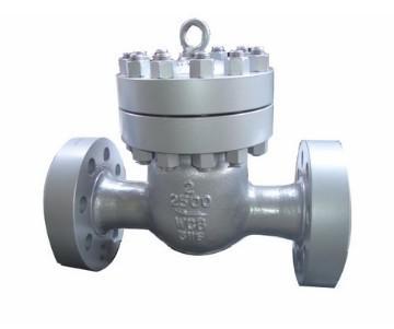 High Pressure Check Valve