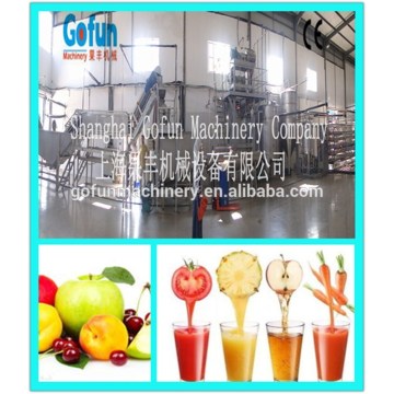 The reliable supplier for automatic commercial fresh peach juice processing machine made in China