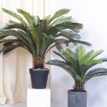 High Quality 55cm Linwoo Plastic Cycas Bonsai Plant for Decoration