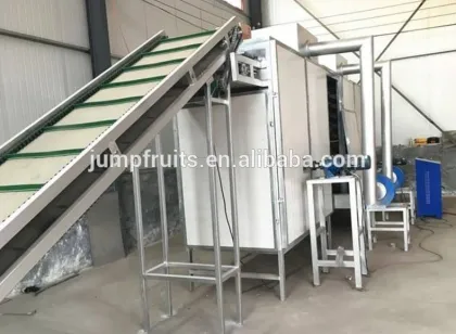 sweetening the fruits of the fruit drying machine