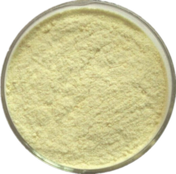 Amptotheca Acuminata Extract Camptothecin