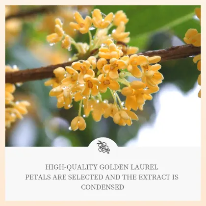 SADOER Golden Osmanthus Moisturizing Eye Mask 140g