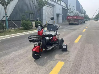 est price electric tricycle transport car