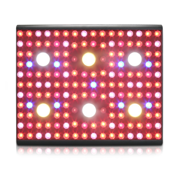 Luci progressive per piante UV a LED a spettro completo 3000W