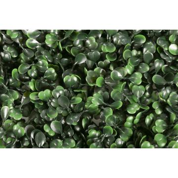 Artificial Boxwood Green Panels for Vertical Garden