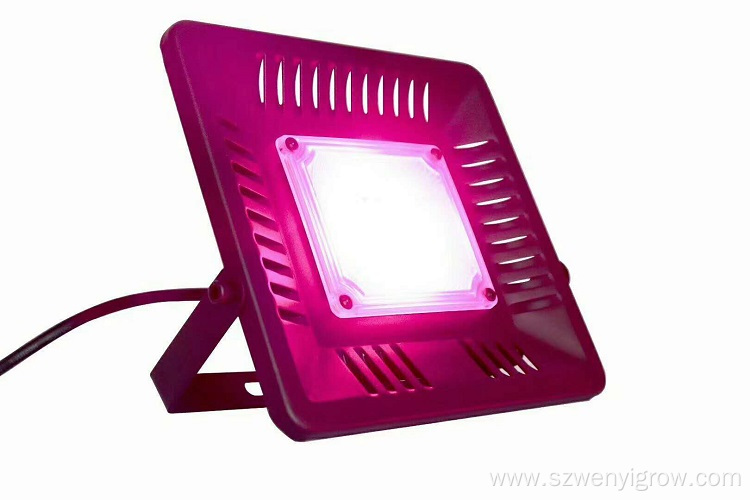 Factory direct Price 50W IP67 Cob Grow Lights