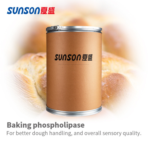 Food grade baking phospholipase enzyme