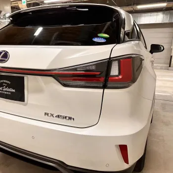 2020 Year Red Housing LED Tail Lamp for Lexus RX450H ZW