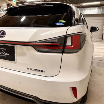 2020 ans de logement rouge LED TAIL LED POUR LEXUS RX450H ZW