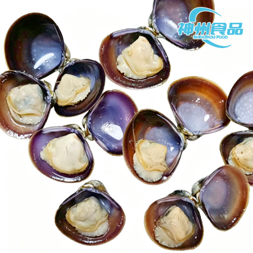 Vongole vive di lago selezionate a mano e carne sbucciata congelata
