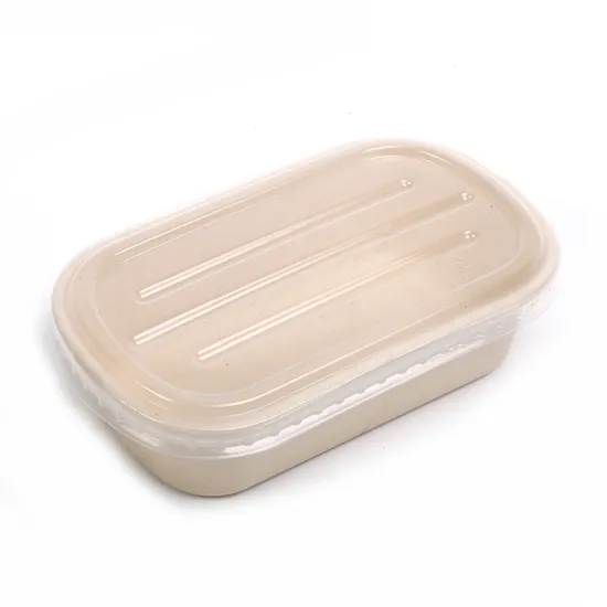 Customizable 1000ml Biodegradable Microwavable Food Packaging: Reusable and Eco-Friendly Takeaway Lunch Box