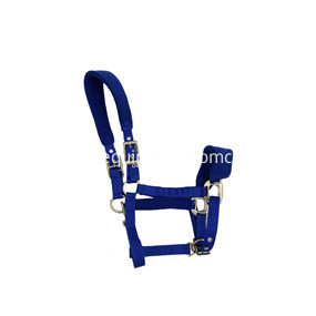 blue horse halter