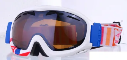 OEM rayzor ski goggles