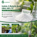 Indole-3-Butyric Acid IBA 98% TC لتركيبات تنظيم التجذير ونمو النبات