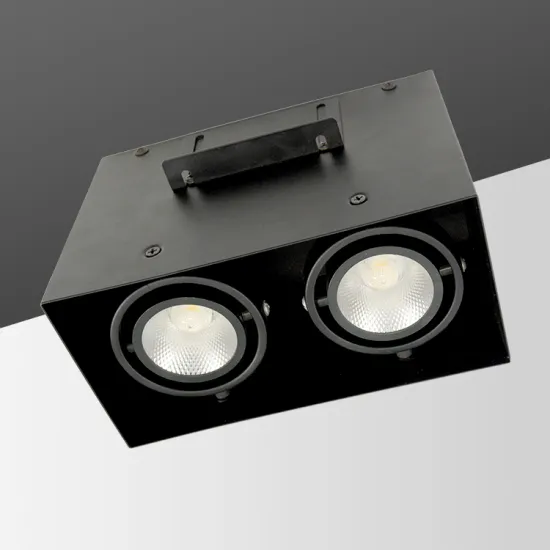 Single Double Triple Heads Grid Light Led Downlight