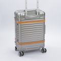 Fashionable Titanium Luggage Carry on