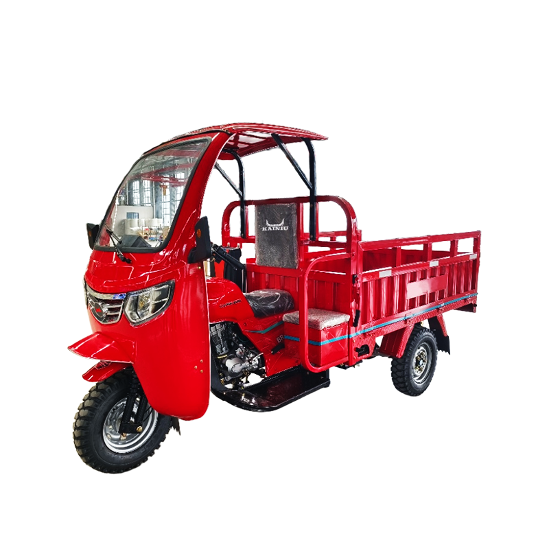 Wuyang Q3 tricycle with driver cabin