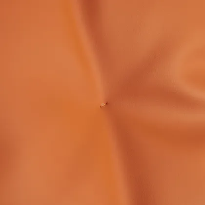 leisure sofa lounge chair