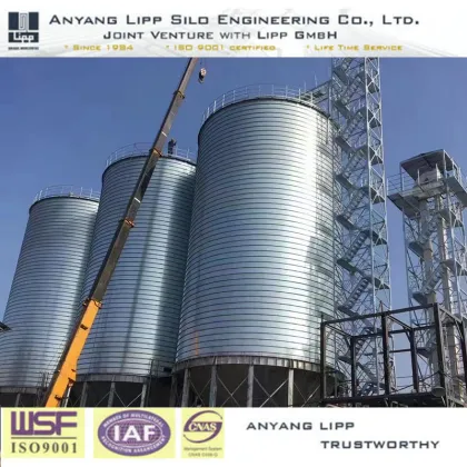 Silos for feed mill project