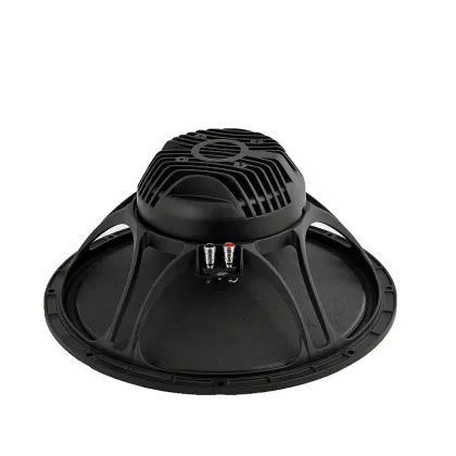creative DOUBLE 15 INCH PLYWOOD 825 STAGE SPEAKER