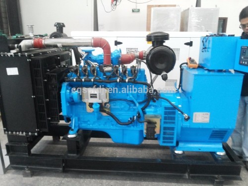 110KW Cummin Natural Gas Generator for Sale 6CTA8.3