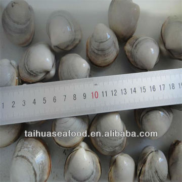 Vacuum Packed White Clams