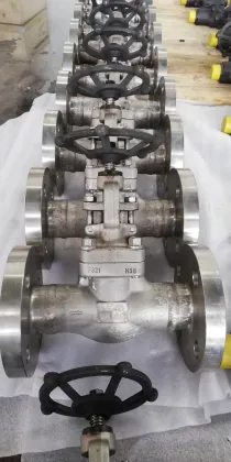 F321 Forged Gate Valve