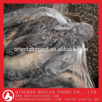 frozen catfish fillet
