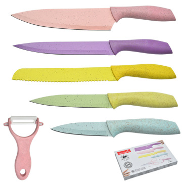 Modern Design Durable Kitchen Knife Set with Plastic Handles