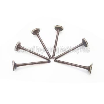 CA6110 CA4110 Exhaust Valve for Forklifts and Wheel Loaders - 1007011-24D