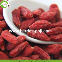 New Harvest Super Food getrocknete Bayas Goji