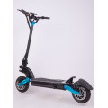 Electric Scooter D2