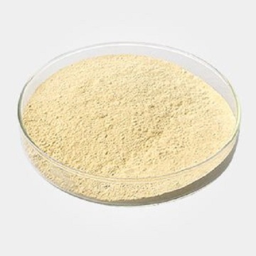 Xanthan Gum CAS No. 11138-66-2