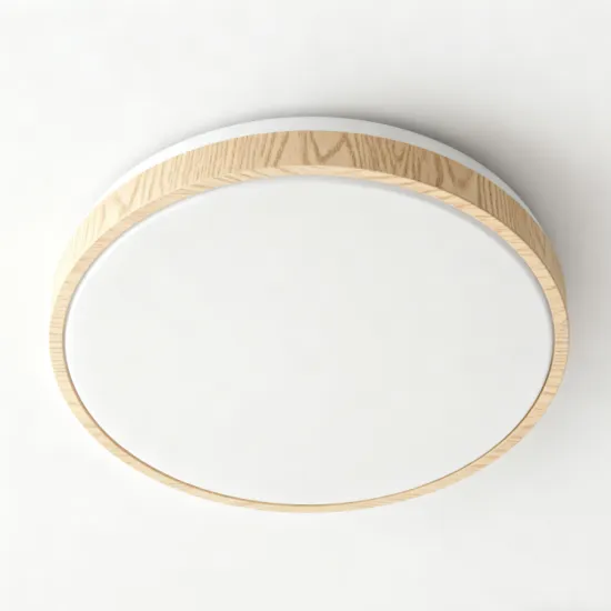 Modern LED Ceiling Light for Bathroom