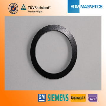 Bonded NdFeB Magnet with Best Price