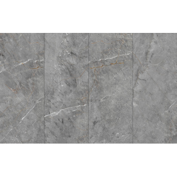 WSW170 digitális nyomtatási fal panel