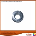 DIN1661 Hex Flange Nuts