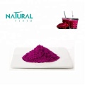 100% Organic Freezed-dried Pitaya Dragon Fruit Powder